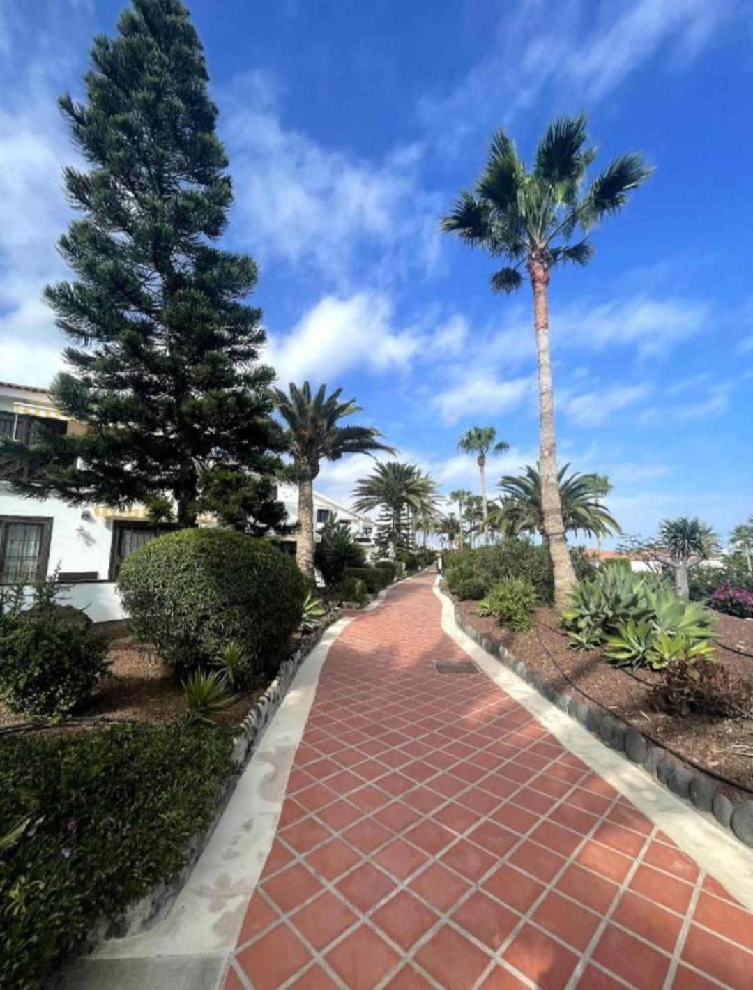 Apartment In Amarilla Golf 2 Bedrooms San Miguel de Abona Eksteriør billede